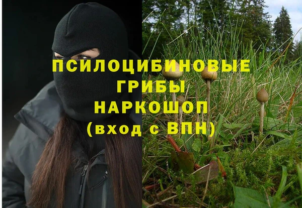 прущая мука Армянск