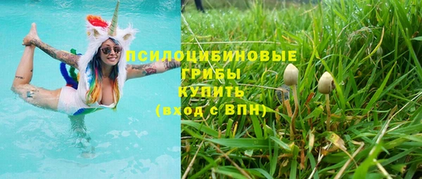 прущая мука Армянск